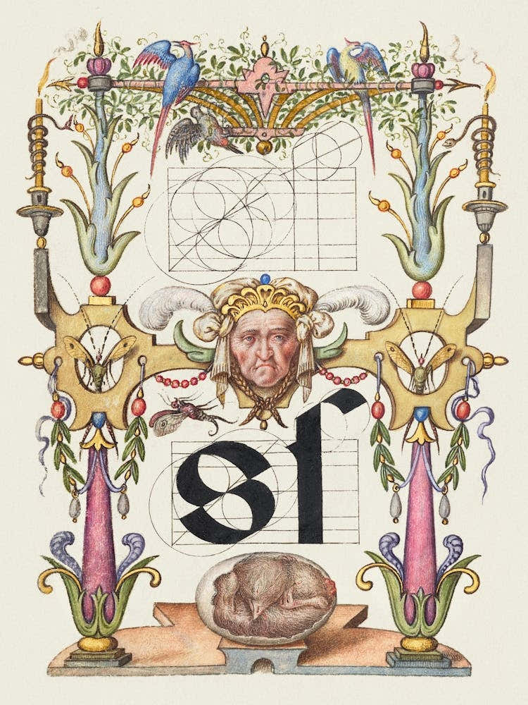 Guide For Constructing The Letter S From Mira Calligraphiae Monumenta, Joris Hoefnagel 1
