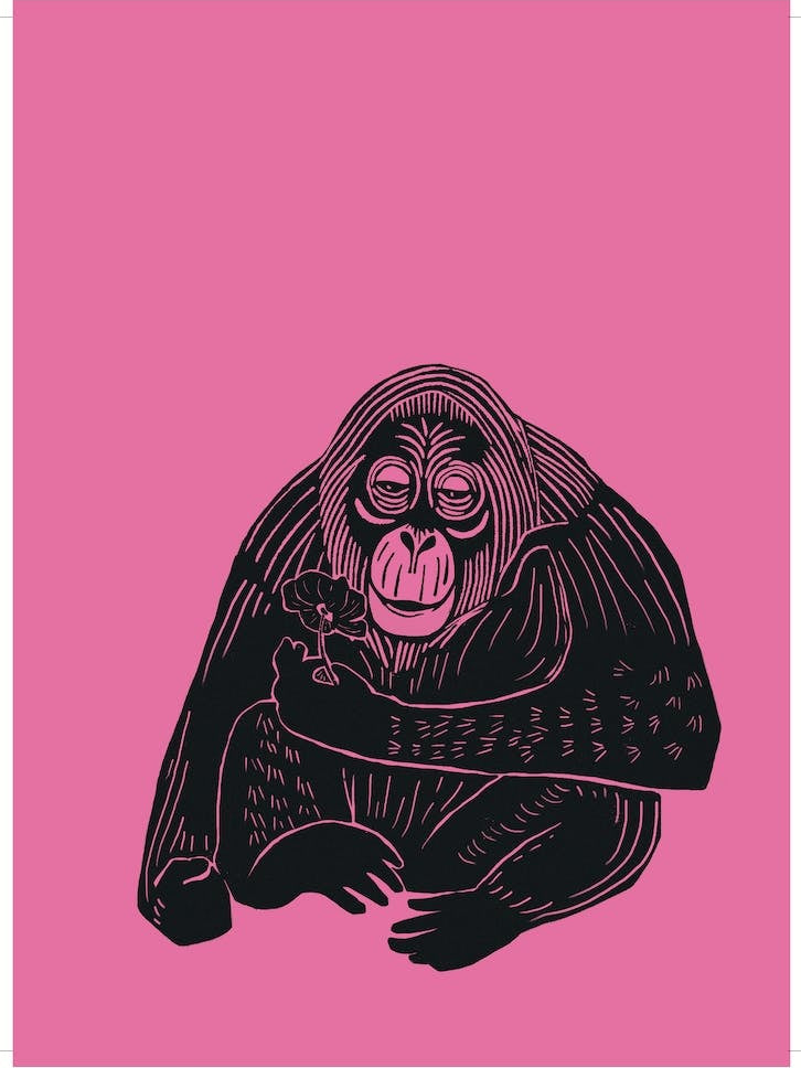Orangutan - Pink