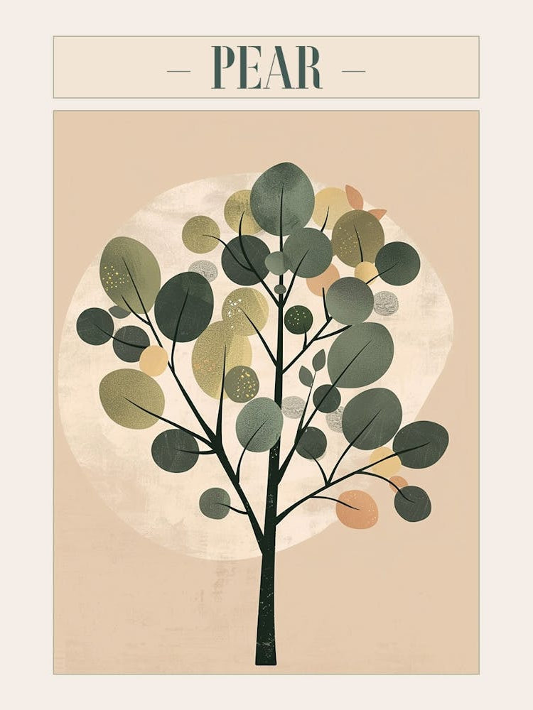 Pear Tree Minimal Japandi Illustration 3 Poster