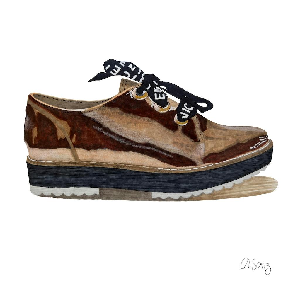 Brown Shoe 1