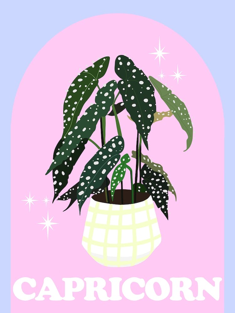 Botanical Star Sign Capricorn