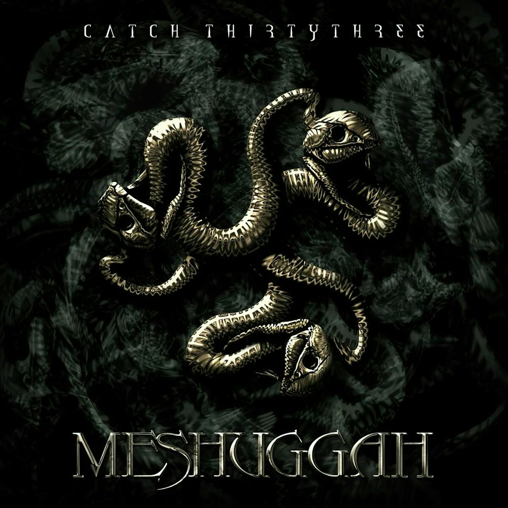 Meshuggah 5