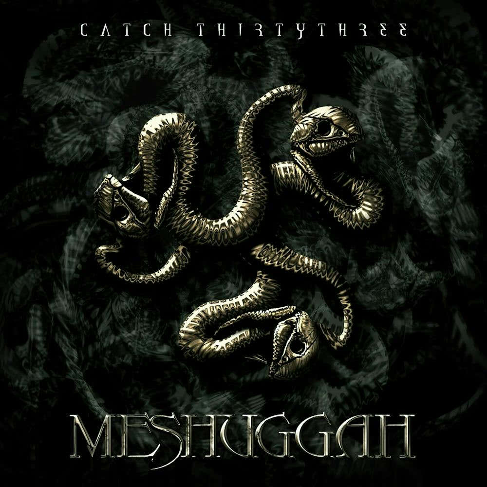 Meshuggah 5