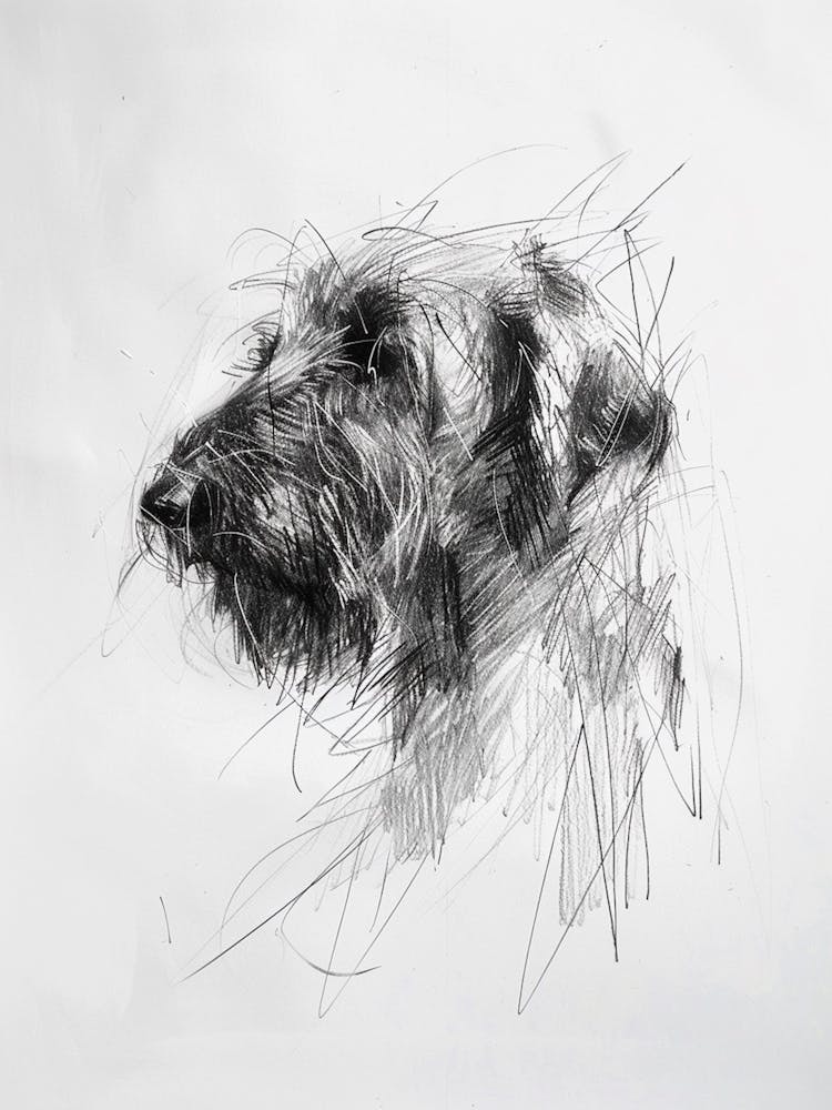 Briard Dog Charcoal Line 2