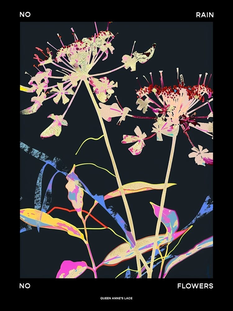 No Rain No Flowers Poster Queen Annes Lace 4