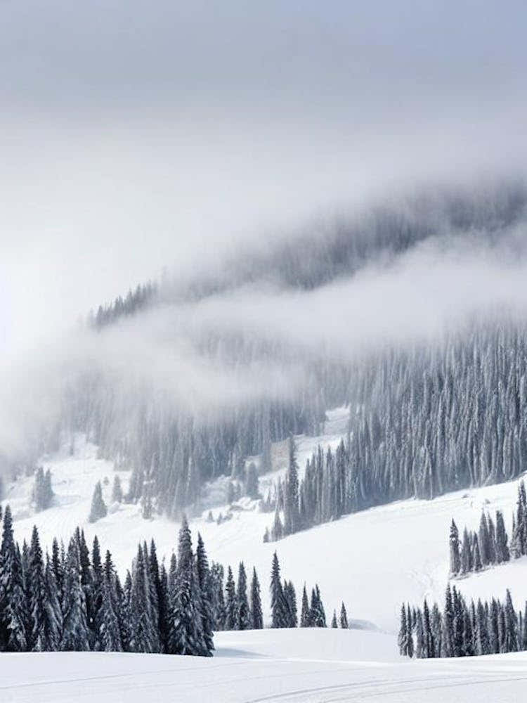 Alyeska, Usa Black And White Skiing Poster