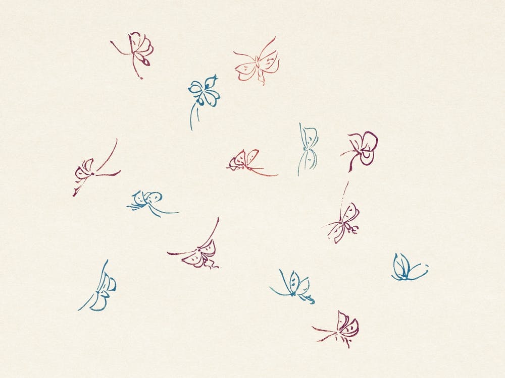 Vintage Butterfly, Cho Senshu