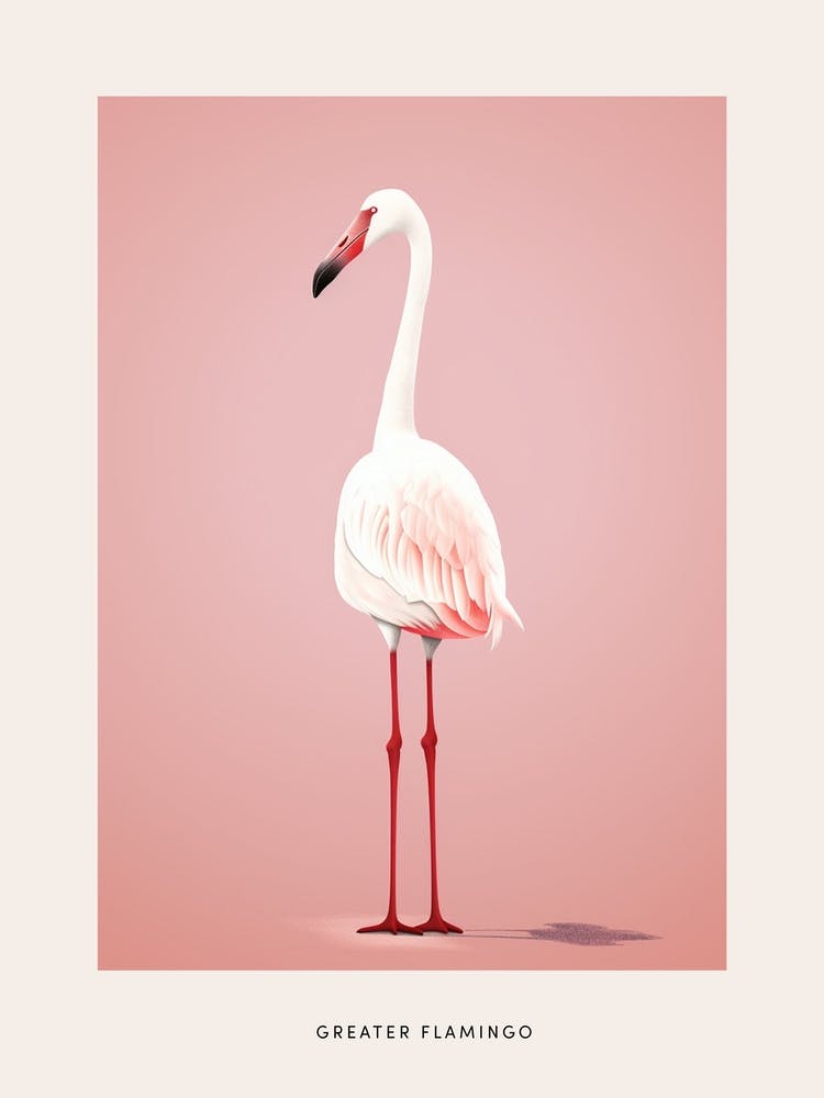 Minimalist Greater Flamingo 1 Bird Poster