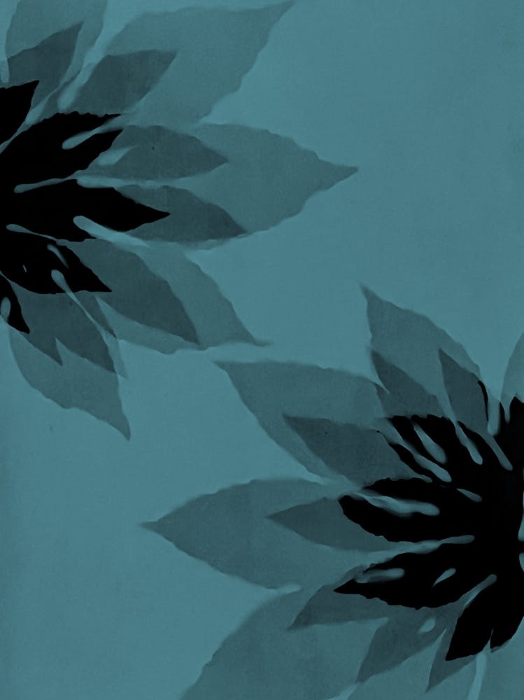 Teal black leaf