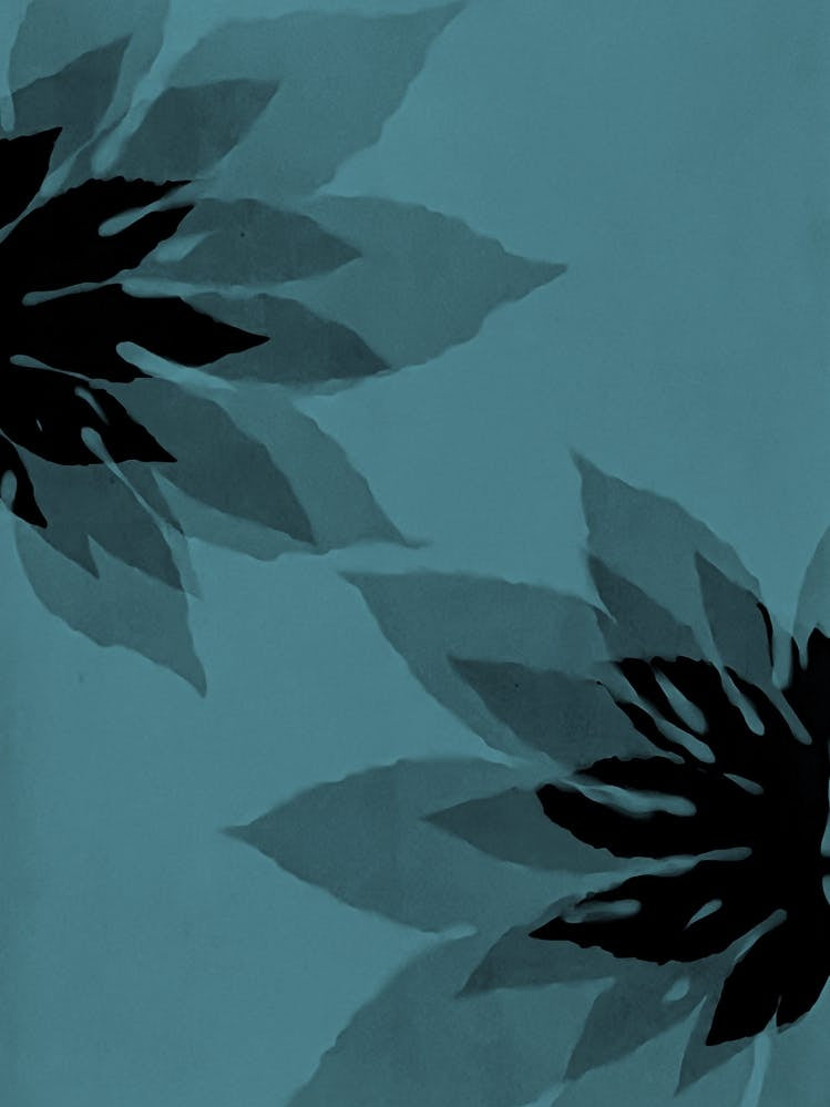 Teal black leaf