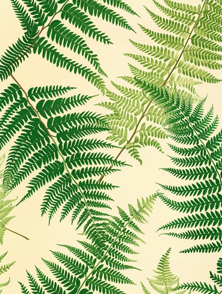 Pattern Poster Sensitive Fern 3