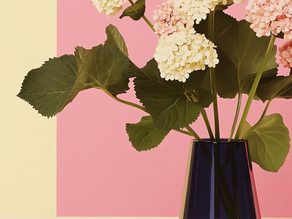 Hortensias Dans un Vase
