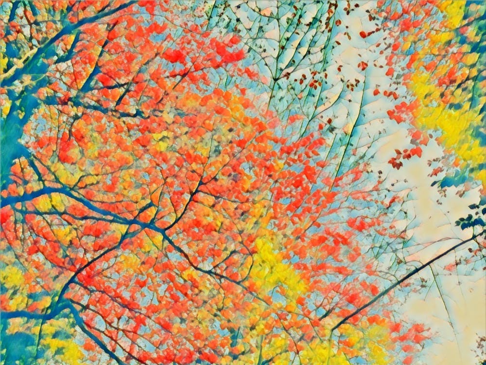 Autumn Trees 2