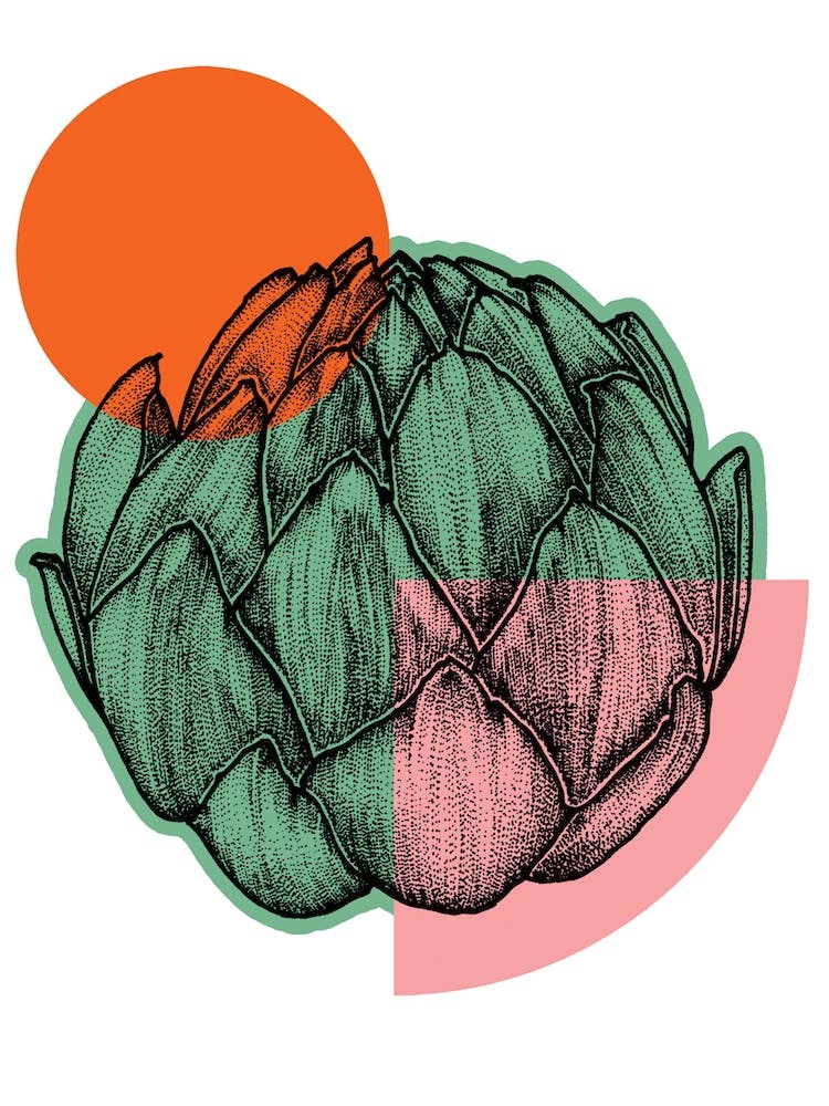 Colour Block Artichoke