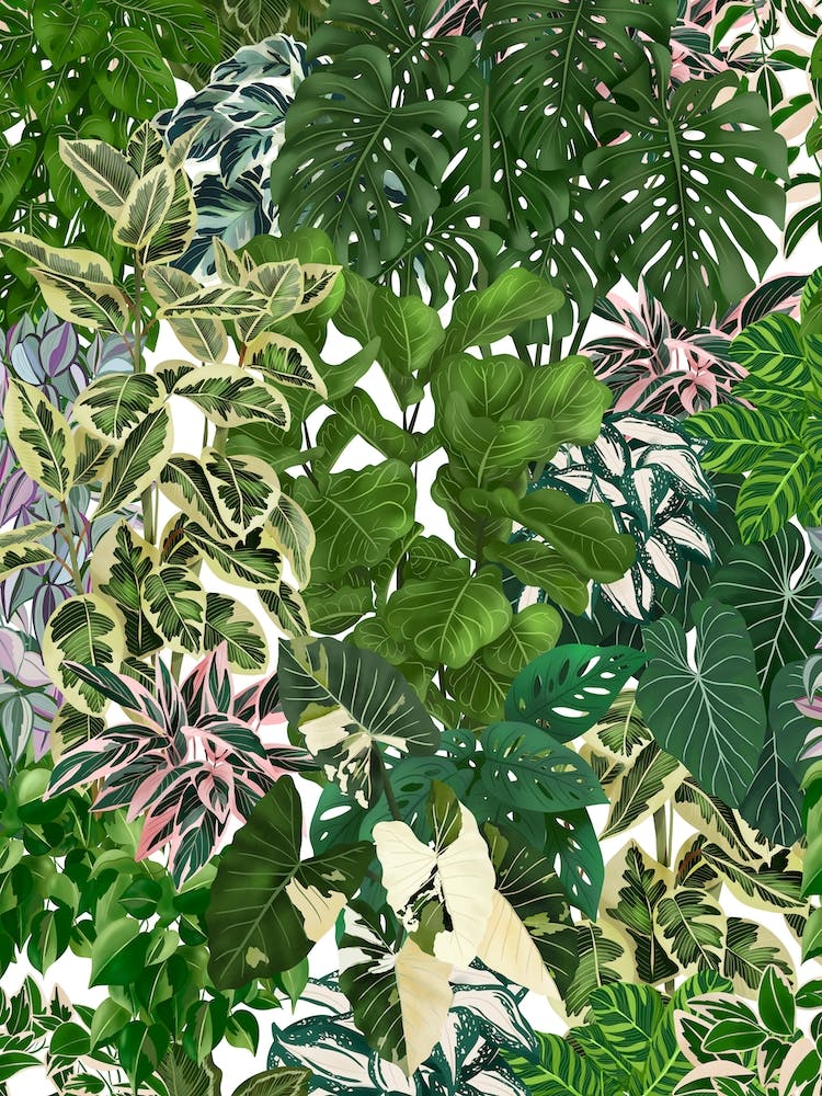 House Plants Jungle 2