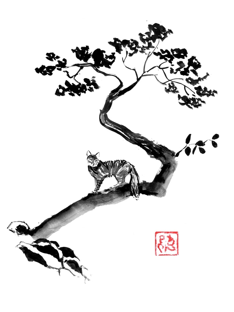 Wild Cat In the Tree