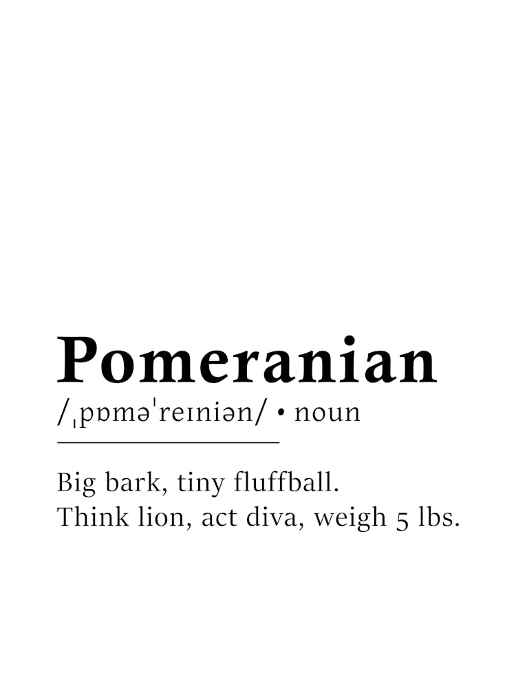 Pomeranian Definition Poster - Dictionary