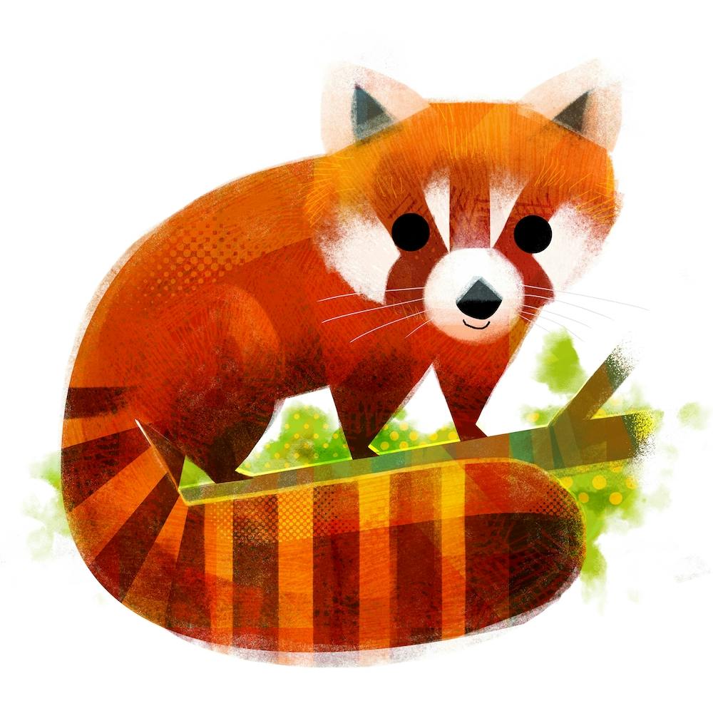 Red Panda Square