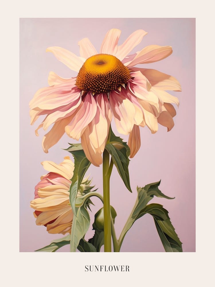Floral Illustration Sunflower 2 Poster