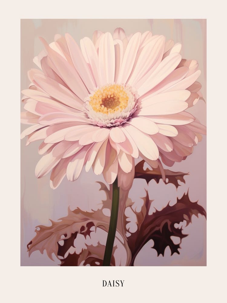 Floral Illustration Daisy 1 Poster