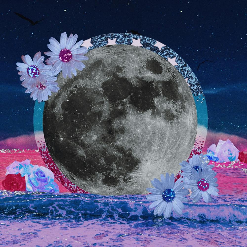 Beach Moon Daisy Collage Square