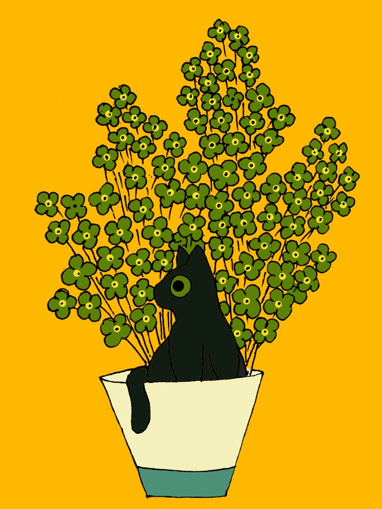 Cat In A Plant Pot