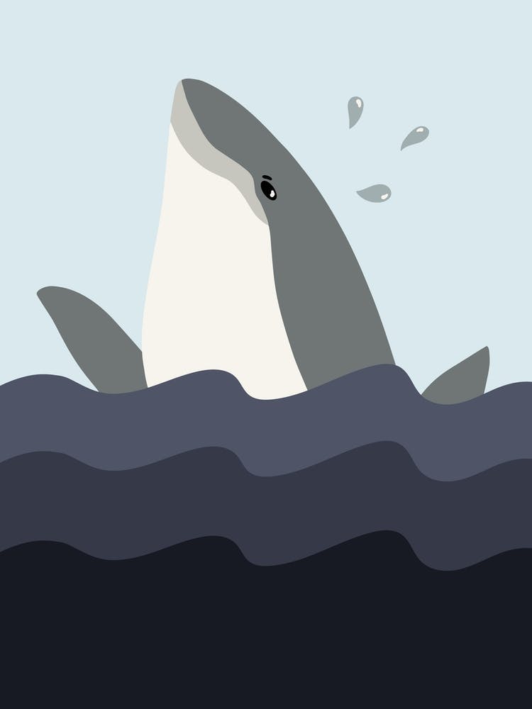 Splashing Whale