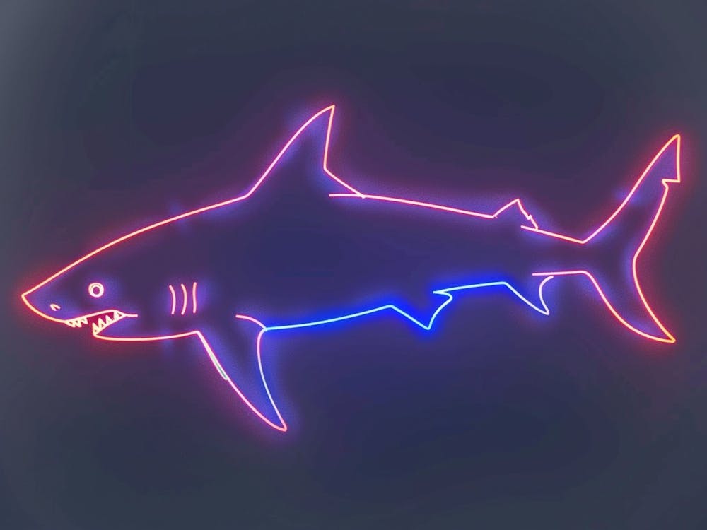 Neon Sign Inspired Shark 3