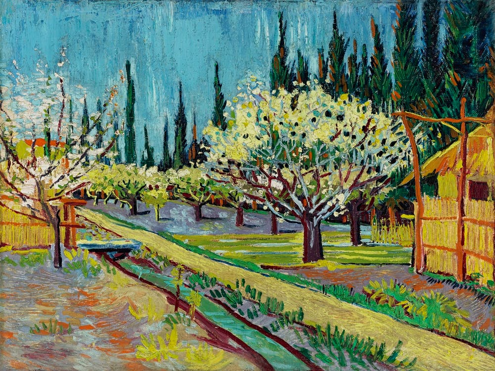 Orchard Bordered By Cypresses (1888), Vincent Van Gogh