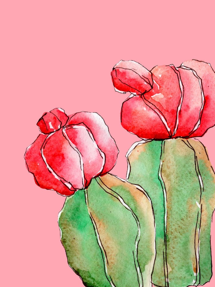 Pastel Cactus Iii