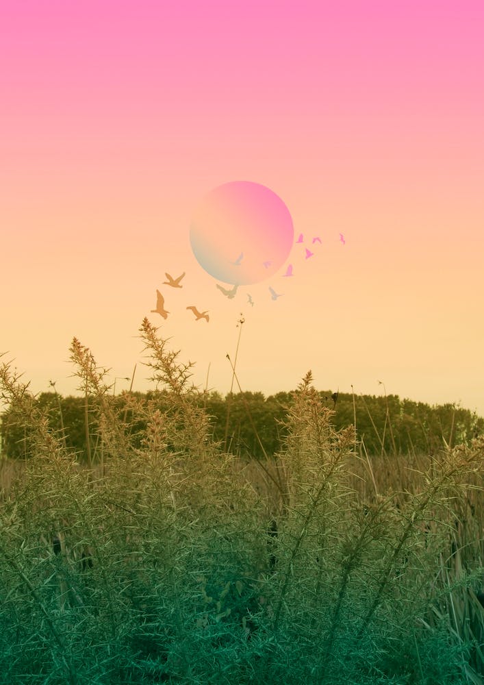 Green And Pink Landscape