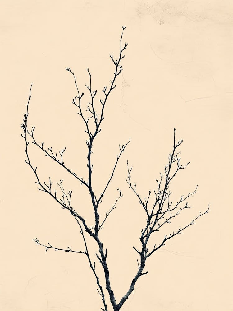 Tokyo Flower Market Boho Minimalist Style