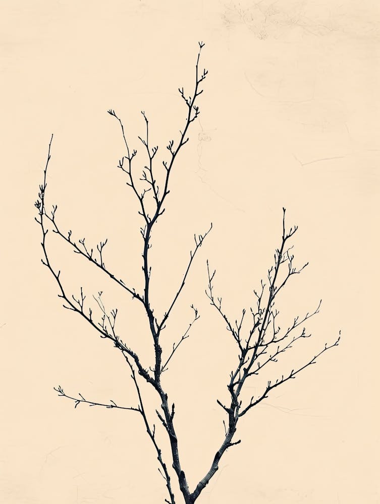 Tokyo Flower Market Boho Minimalist Style