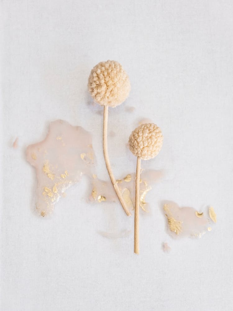 Earthy Botanics On Blush Pink