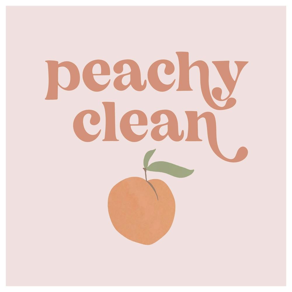 Peachy Clean Retro Vintage Font 1