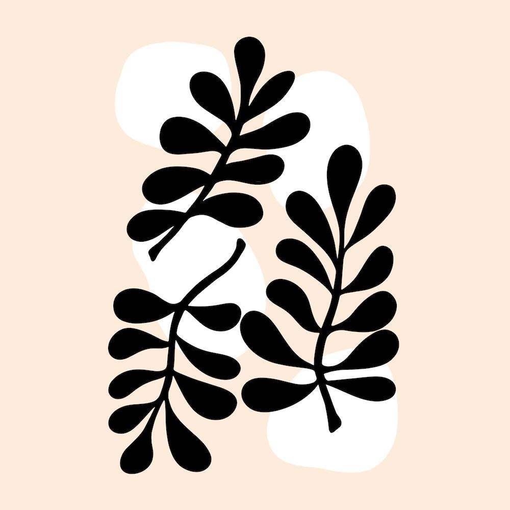 Frond Square
