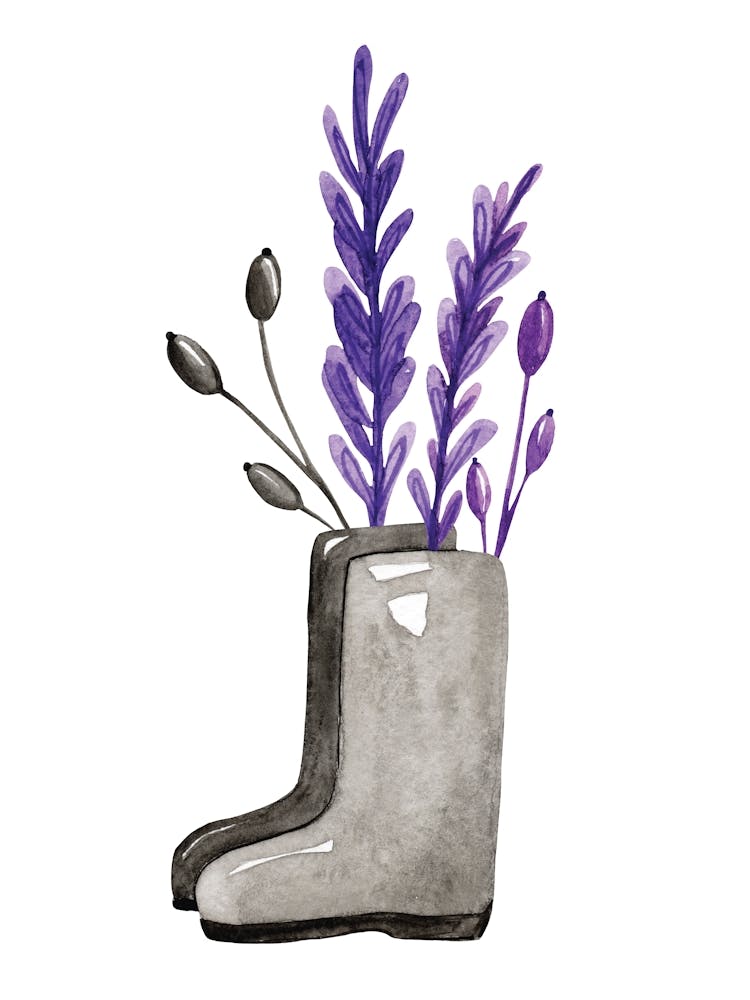 Rain Boots With Lavender