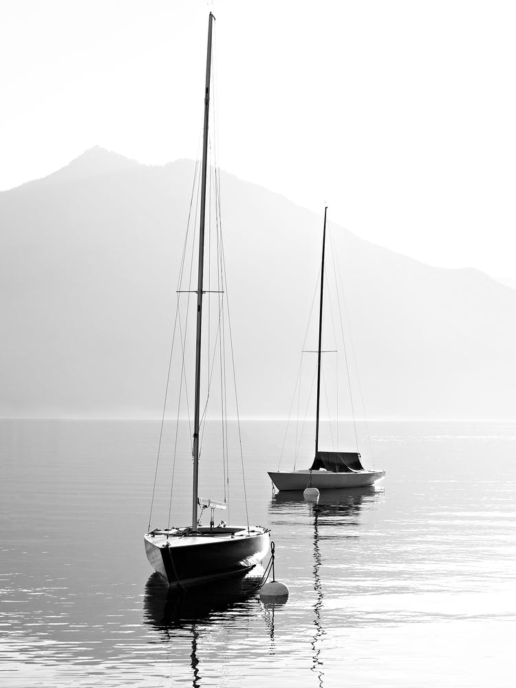 Sailboats On The Lake