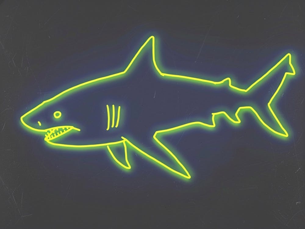 Neon Port Jackson Shark 2