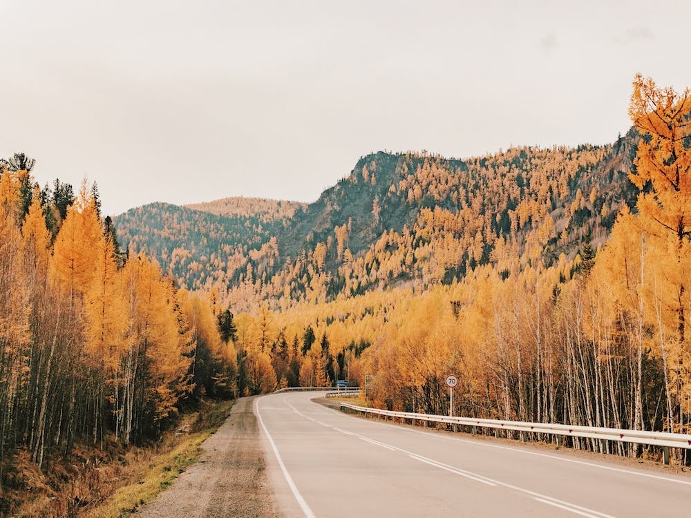 Autumn Road Trip Views