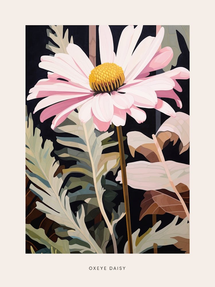Flower Illustration Oxeye Daisy 4 Poster