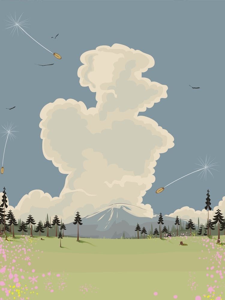 Field Of Flowers