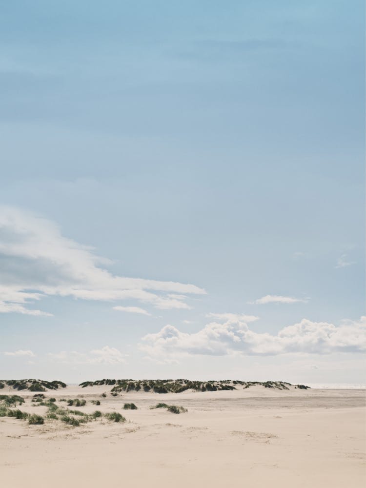 Mania Landscapes Raw 24 Barmouth (United Kingdom)