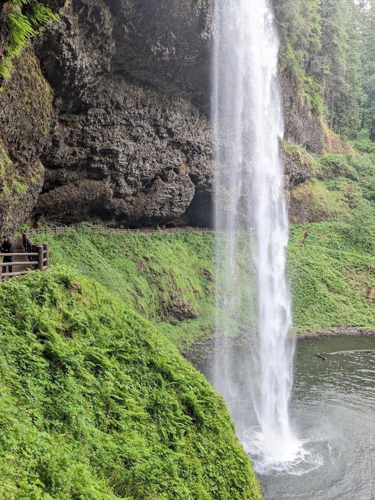 What Life Should Be Like