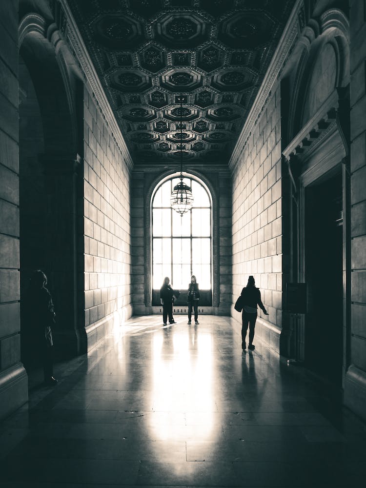 New York National Library Silhouettes