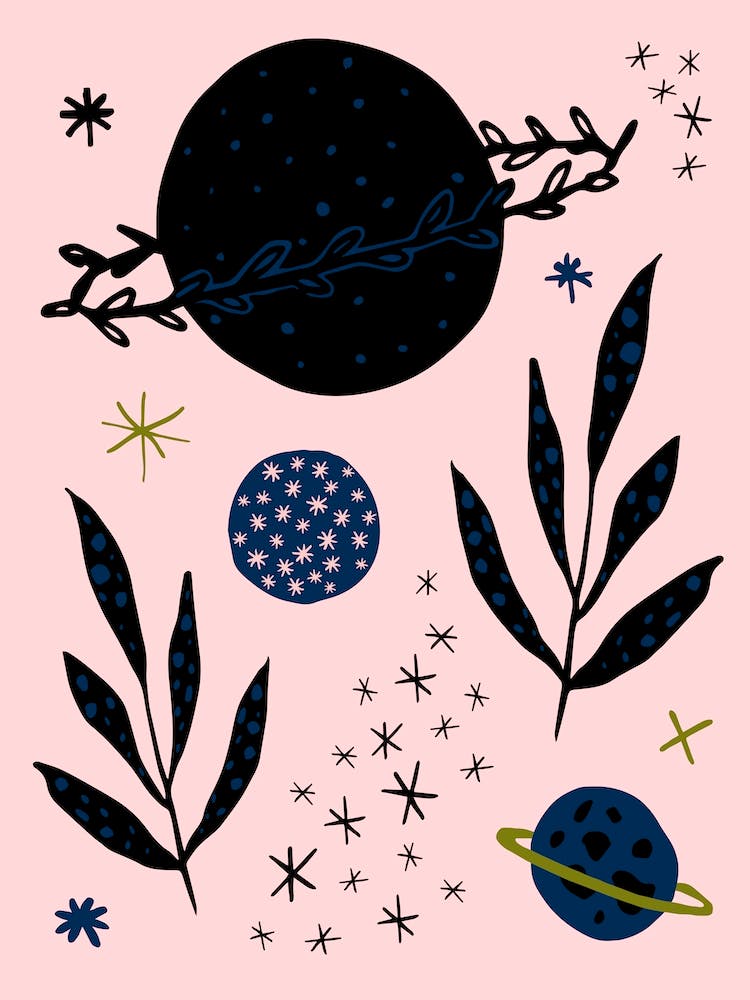 Botanical Planets Pink