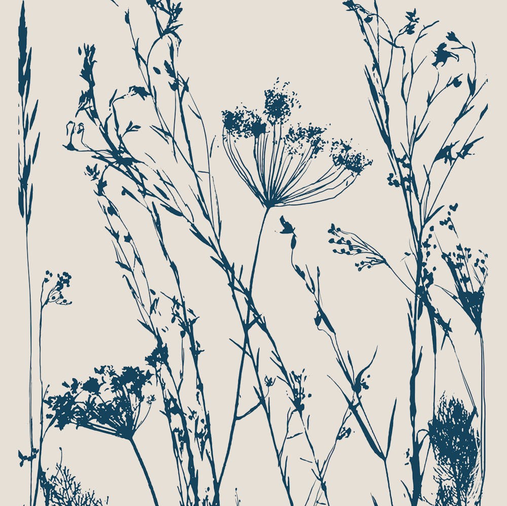 Wildflowers
