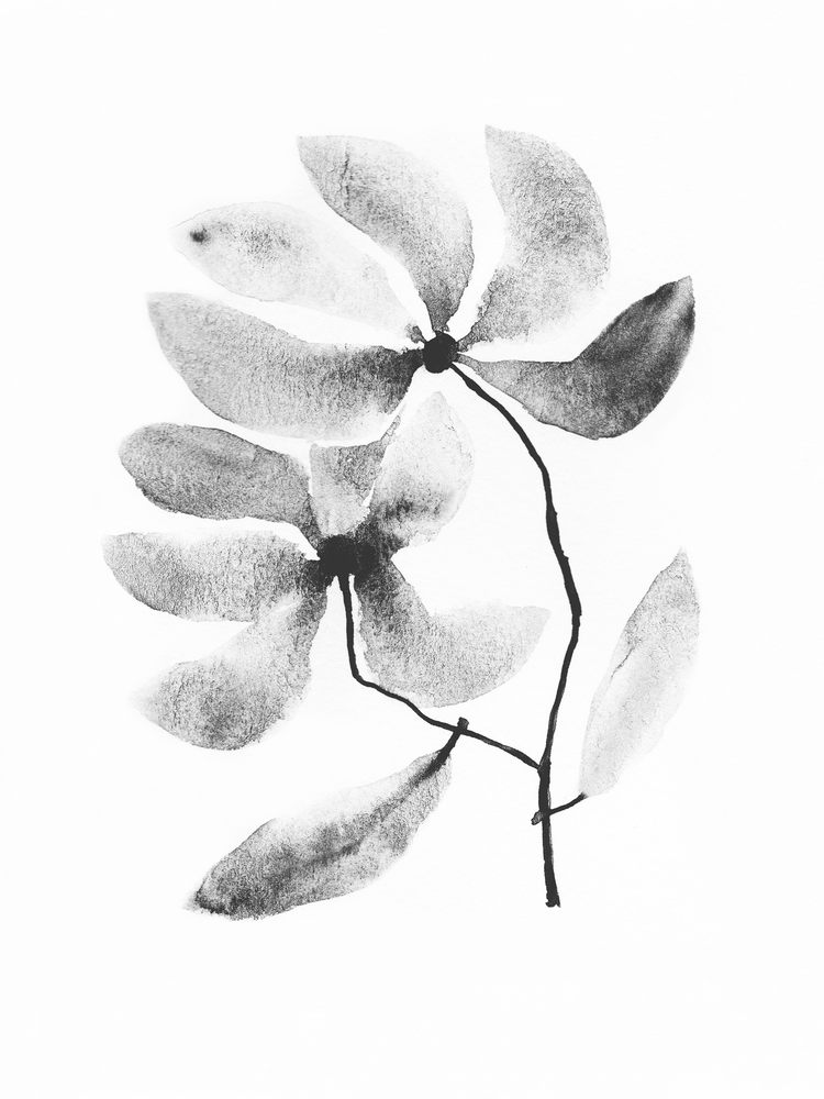 Schwarz-Weiße Blume