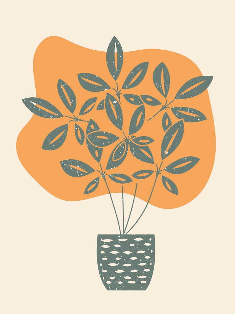 Plante en Pot 2