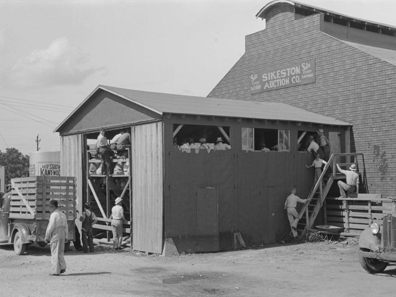Auction Pavilion, Sikeston, Missouri By Russell Lee